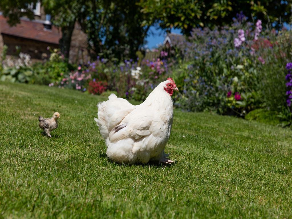 Farden The Graig Bed & Breakfast Ludlow المظهر الخارجي الصورة