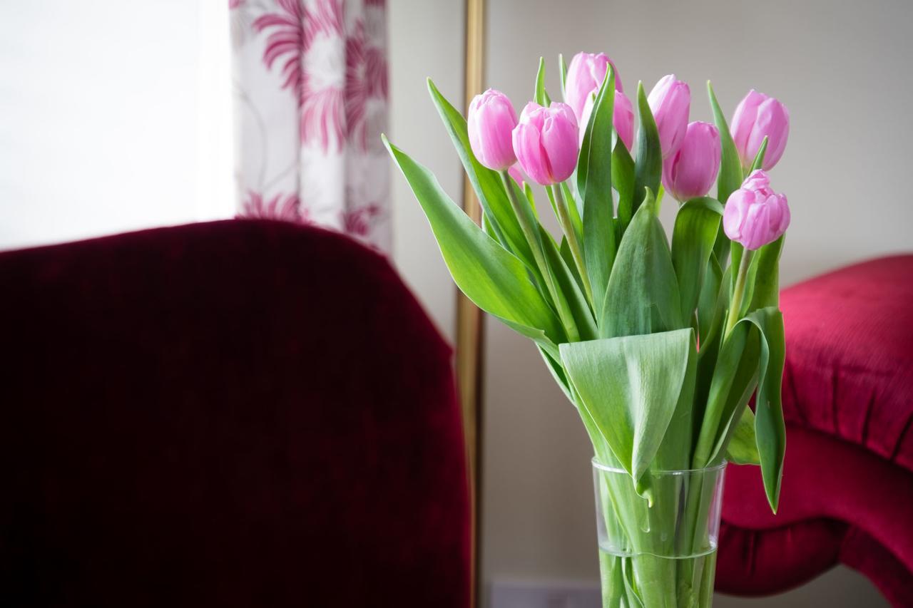 Farden The Graig Bed & Breakfast Ludlow المظهر الخارجي الصورة